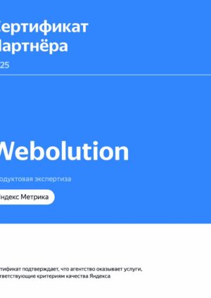 Я.Метрика Webolution